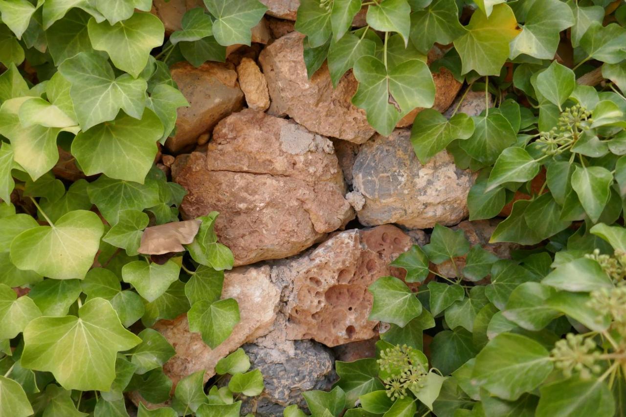 La Casa De Piedra, Una Ventana Al Paraiso Matet エクステリア 写真